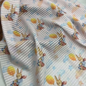 Organza Crepe Plaids Transparent Digital